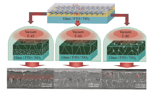 蒸镀&涂布&ALD&PVD？钙钛矿电池各膜层镀膜工艺如何选择